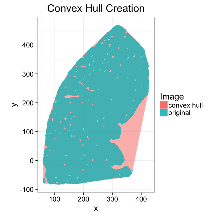 Cortical Segment Convex Hull